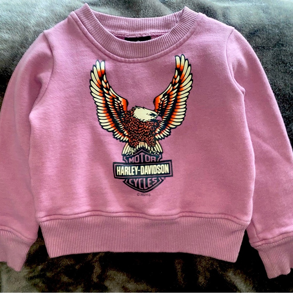 Harley-Davidson Motor Cycles Sweatshirt size 2T-3T. 
toddler purple sweatshirt